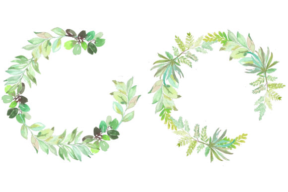 Botanical Watercolor Floral Frames: Illustrations Review
