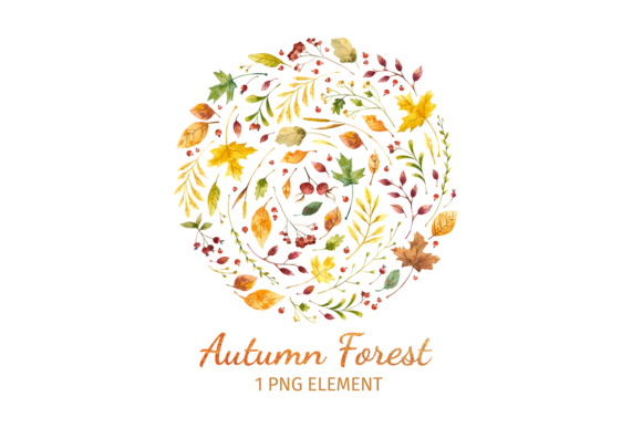 Fall Leaves Watercolor Clipart: Autumn Illustrations Review