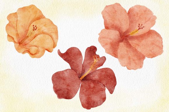 Hibiscus Flower Watercolor Painting: Vibrant Illustrations
