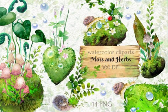 Review: Watercolor Cliparts of Forest Moss, Herb for Embroidery