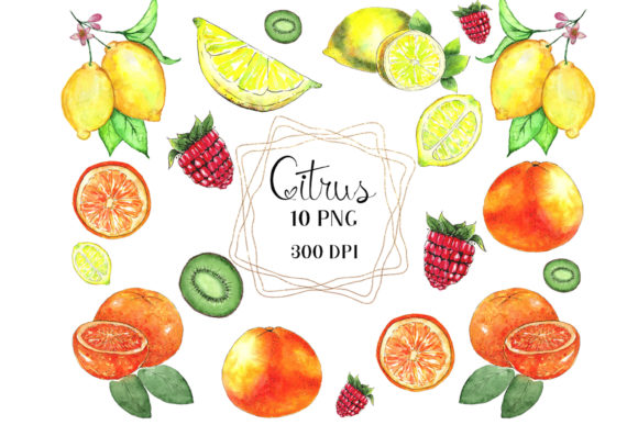 Watercolor Citrus Clipart & Fruits Illustrations Review