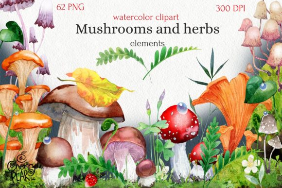 Watercolor Cliparts of Mushrooms: Editorial Illustrations