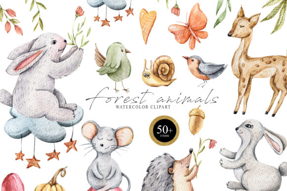 Watercolor Cute Forest Animals Clipart- Illustrations Review