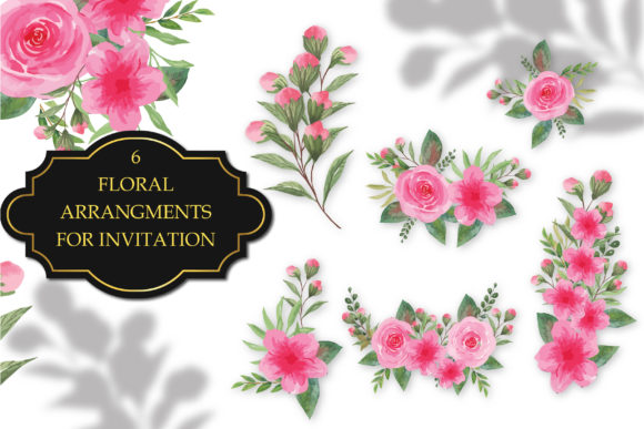 Watercolor Elegant Pink Flower 6 Bouquet: Premium Illustrations
