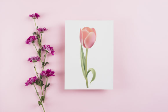 Watercolor Flower and Leaves Clipart for Illustrations