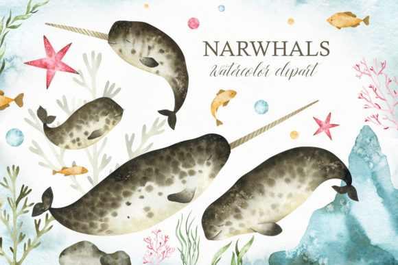 Watercolor Narwhal Clipart: A Designer's Review