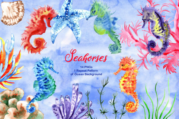 Watercolor Nautical Ocean Seahorses: Illustrations Review