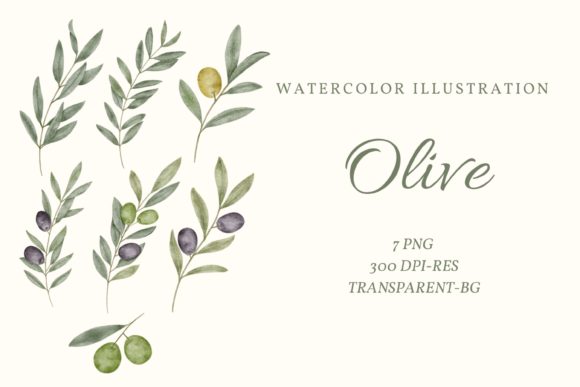 Watercolor Olive Leaf Clipart & Illustrations Review