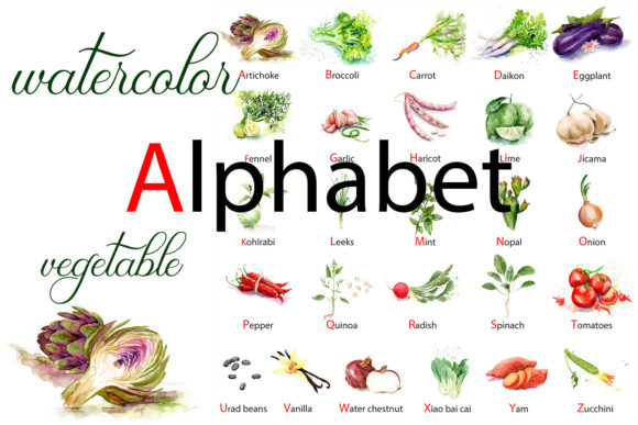 Watercolor Vegetables: Fresh Illustrations for Branding