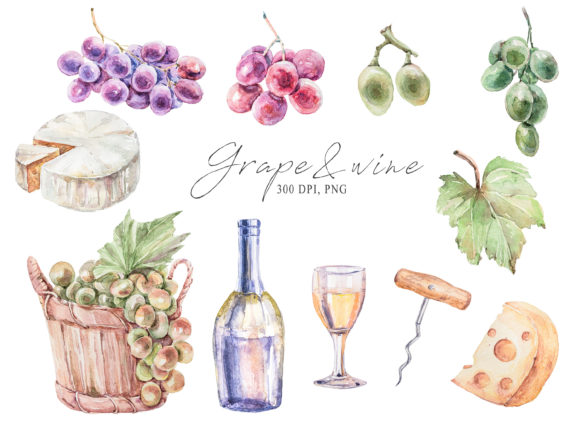 Watercolor Vine Bottle and Grape Clipart for Illustrations
